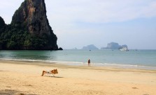 Viza la Sosire Thailanda_1